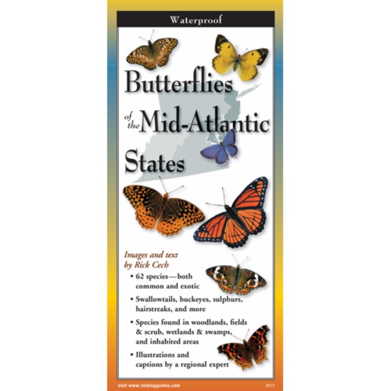 Butterflies of the Mid-Atlantic States Folding Guide,BUM-102