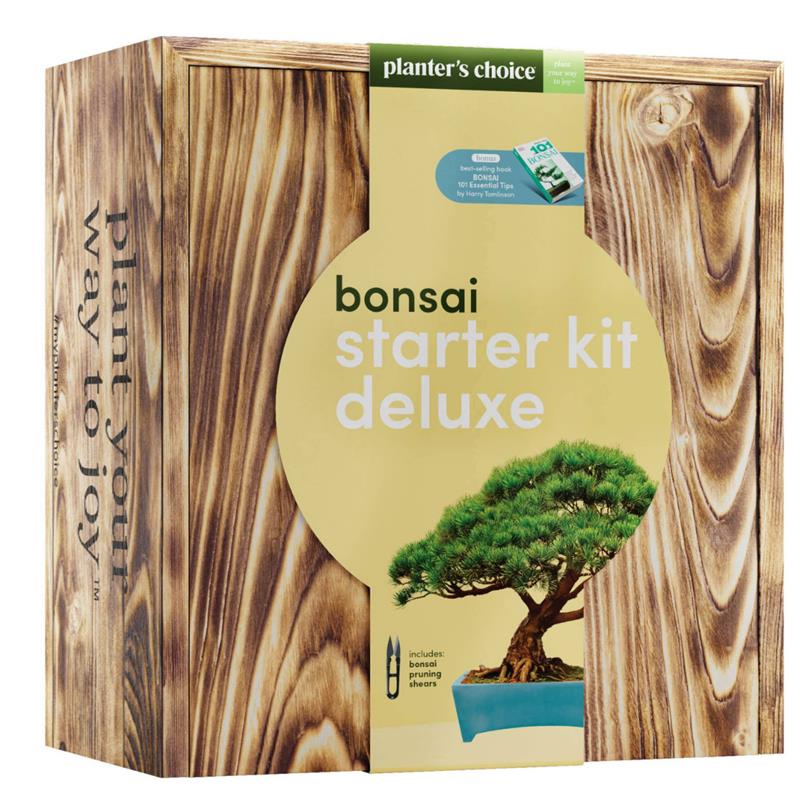 BONSAI STARTER KIT,PC-BNSGRO
